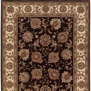 Photo of Brown Oriental Area Rug