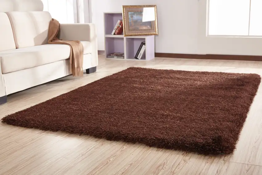 Brown Shag Hand Tufted Area Rug Photo 6