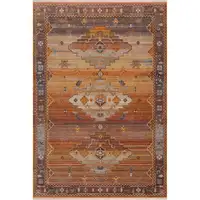 Photo of Brown Southwestern Area Rug