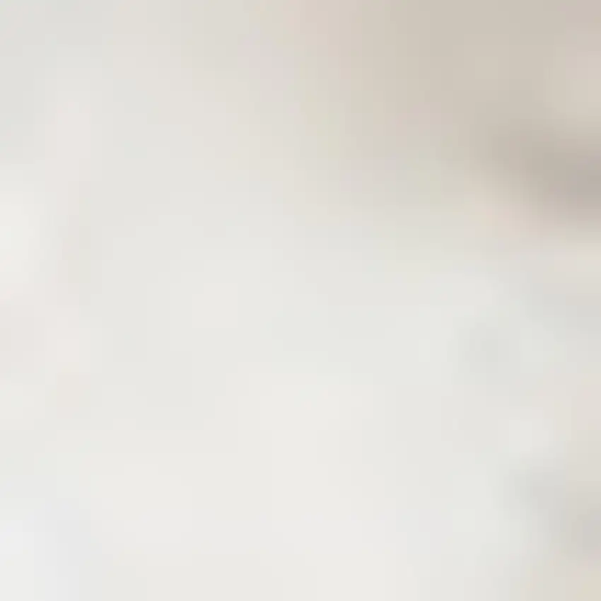 Brown Striped Area Rug Photo 2