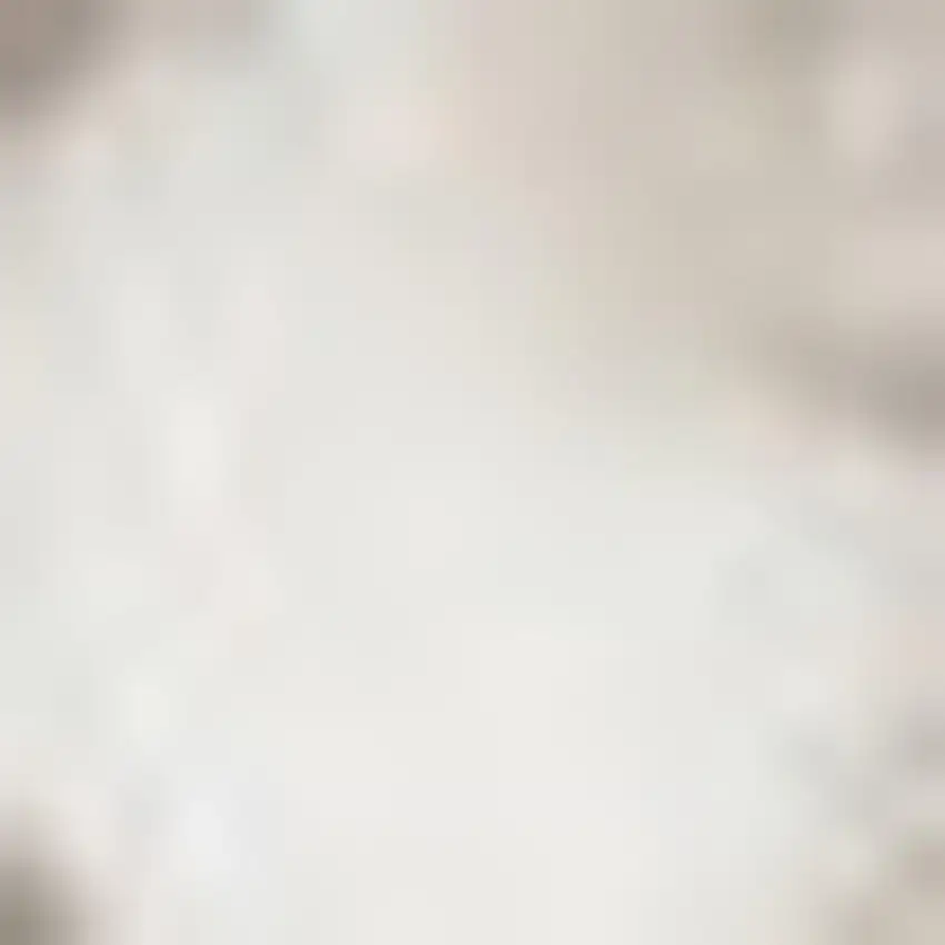 Brown Striped Area Rug Photo 3