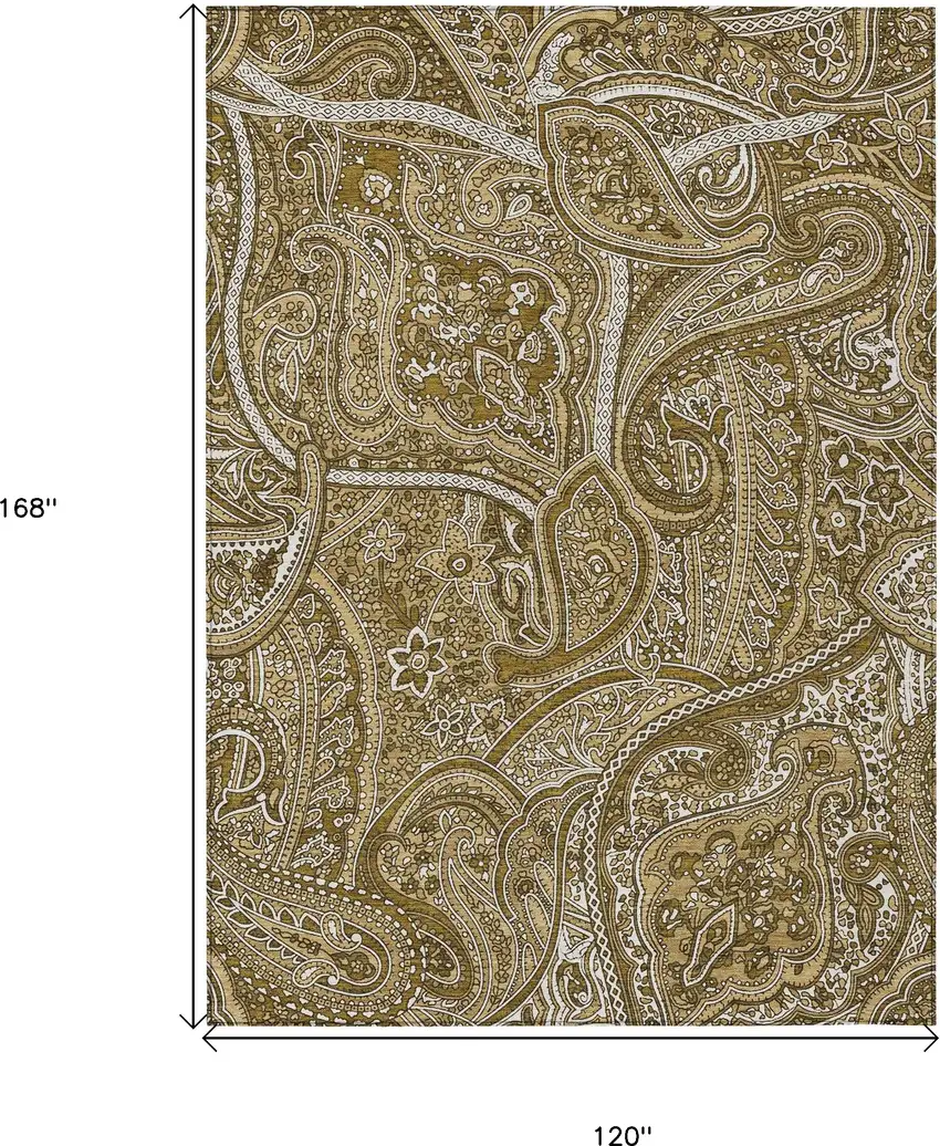 Brown Tan And Beige Paisley Washable Indoor Outdoor Area Rug Photo 3