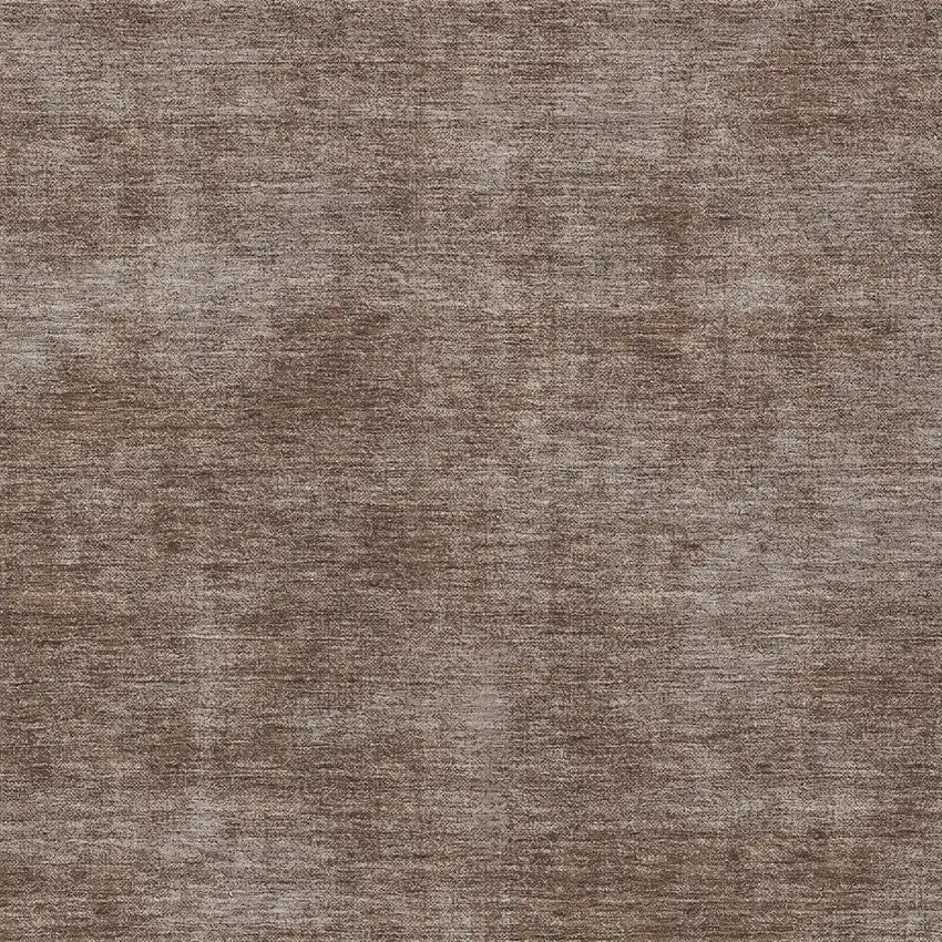 Brown Washable Indoor Outdoor Area Rug Photo 5