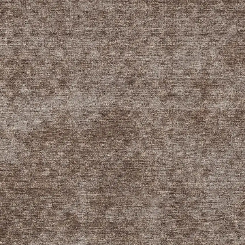 Brown Washable Indoor Outdoor Area Rug Photo 5