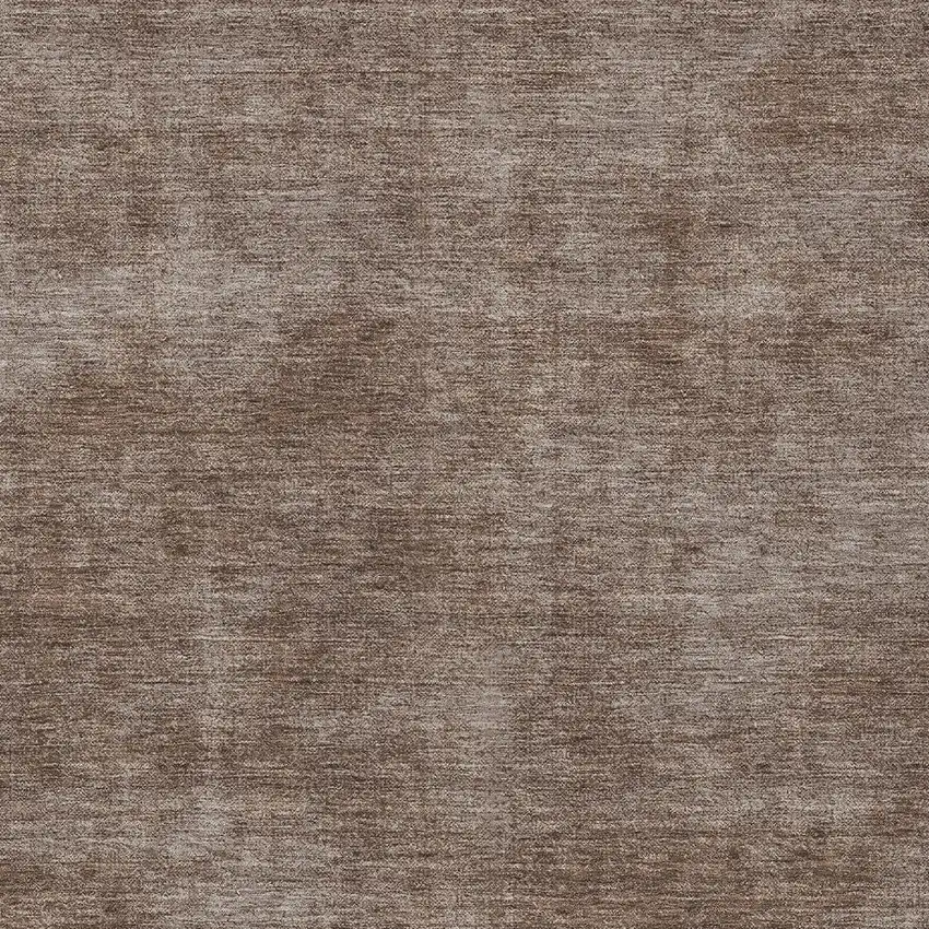 Brown Washable Indoor Outdoor Area Rug Photo 5