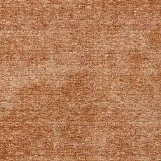 Brown Washable Indoor Outdoor Area Rug Photo 5