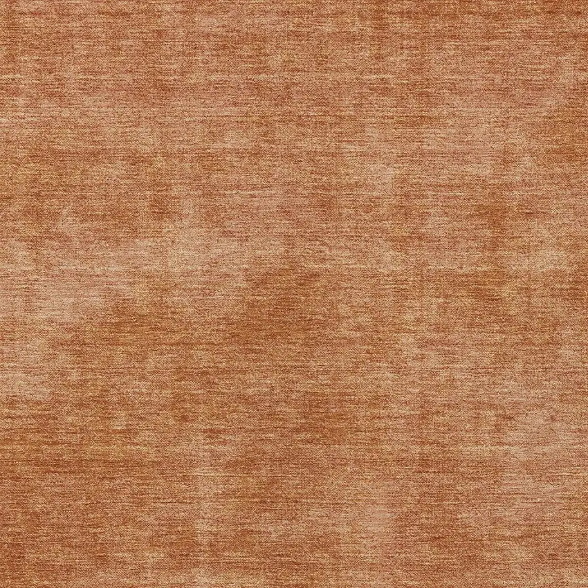 Brown Washable Indoor Outdoor Area Rug Photo 5