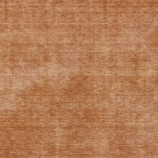Brown Washable Indoor Outdoor Area Rug Photo 5