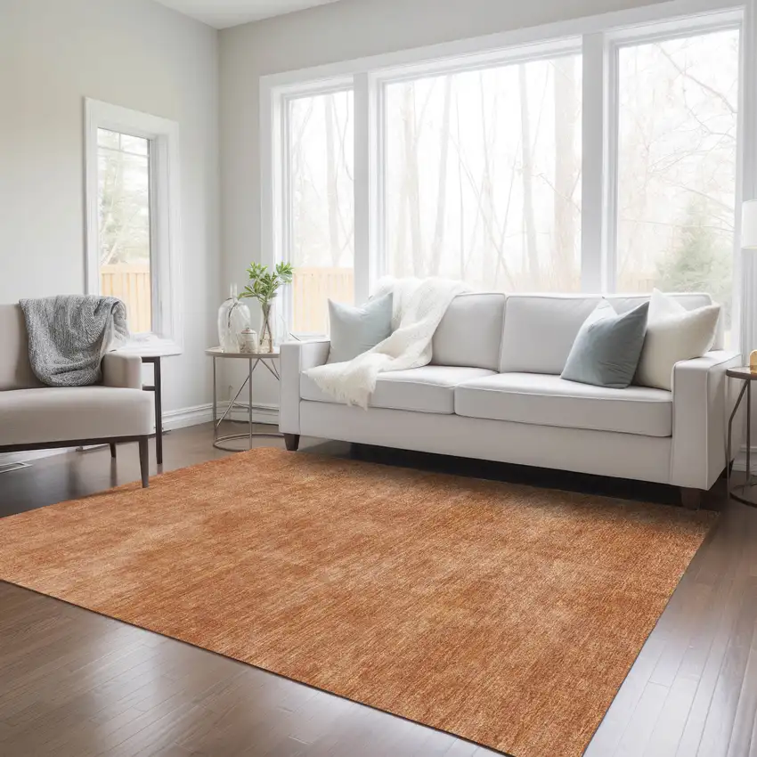 Brown Washable Indoor Outdoor Area Rug Photo 9