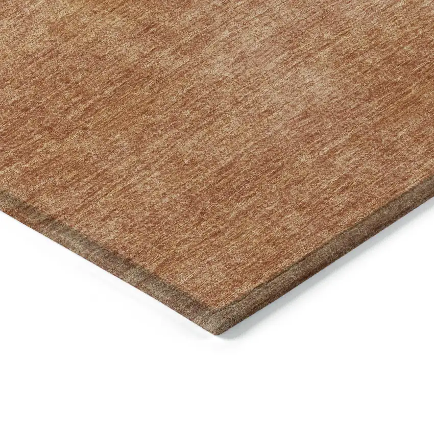 Brown Washable Indoor Outdoor Area Rug Photo 4