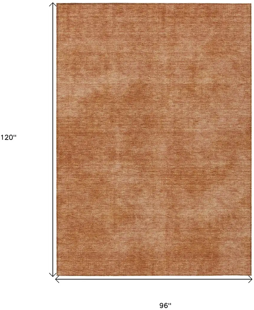 Brown Washable Indoor Outdoor Area Rug Photo 3