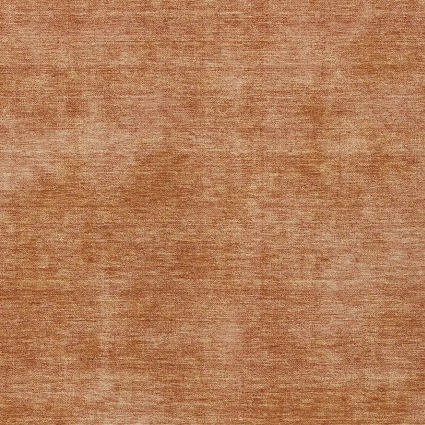 Brown Washable Indoor Outdoor Area Rug Photo 5