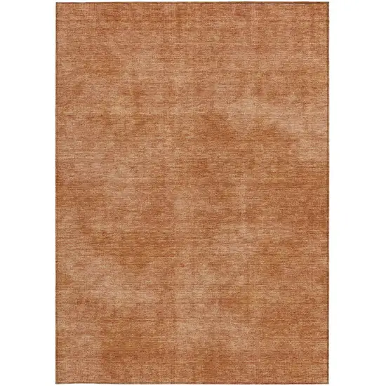 Brown Washable Indoor Outdoor Area Rug Photo 6