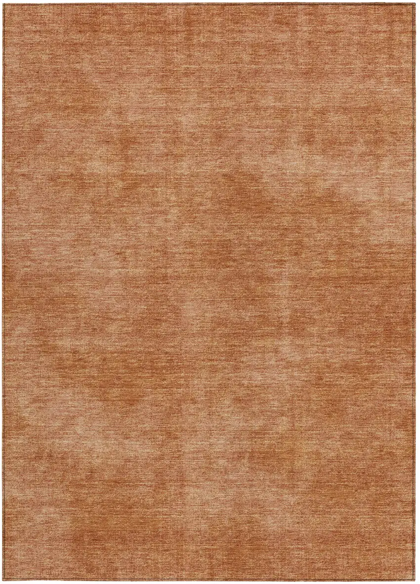 Brown Washable Indoor Outdoor Area Rug Photo 6