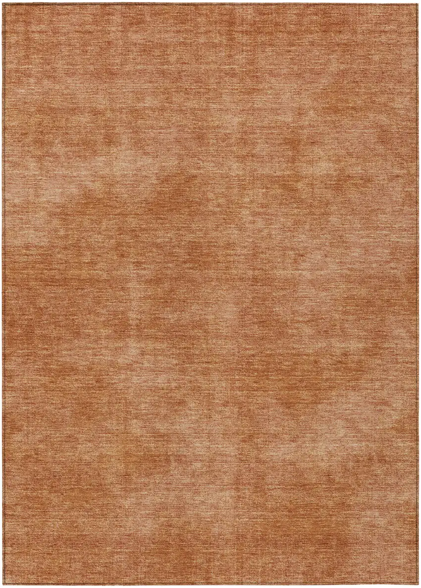 Brown Washable Indoor Outdoor Area Rug Photo 2