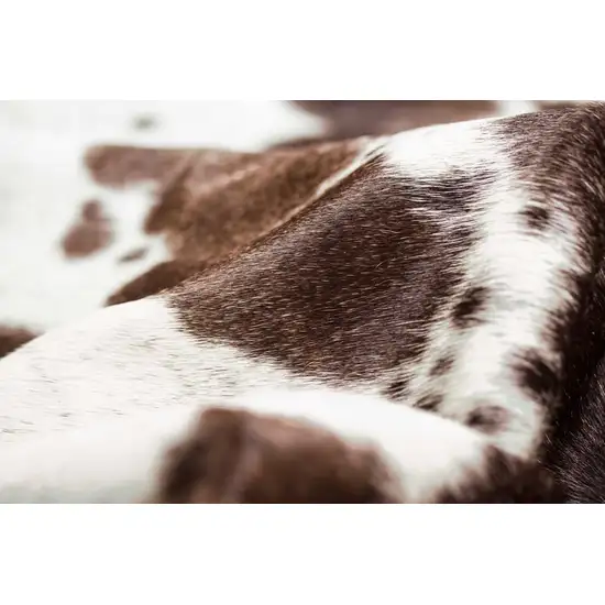 Brown White Cowhide - Rug Photo 2
