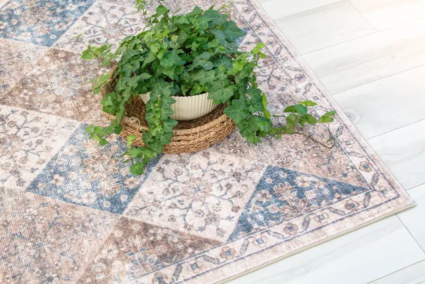 Brown and Blue Floral Distressed Area Rug Photo 8