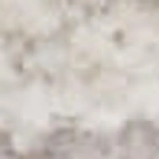 Brown and Blue Oriental Power Loom Distressed Area Rug Photo 3