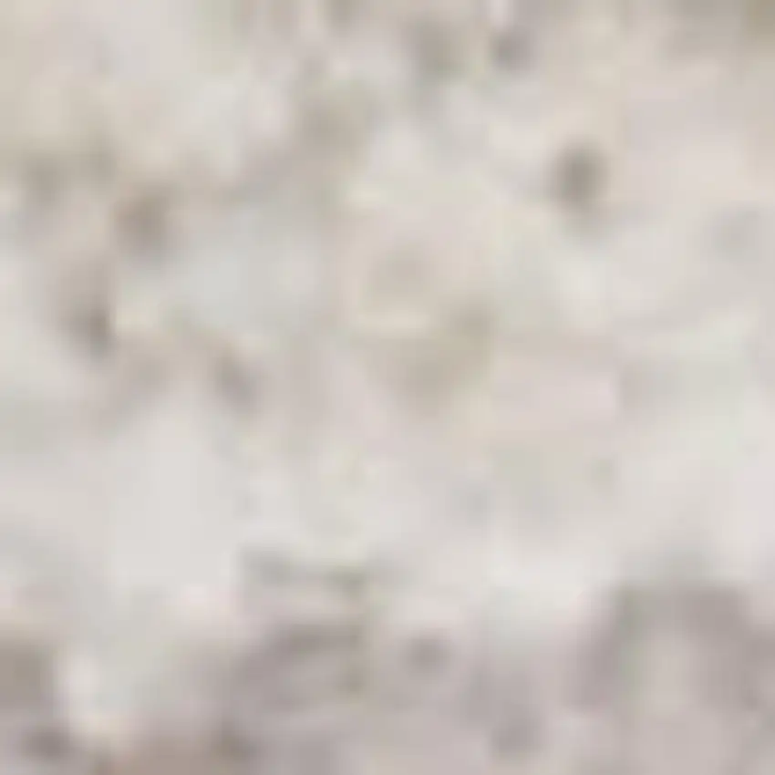 Brown and Blue Oriental Power Loom Distressed Area Rug Photo 3