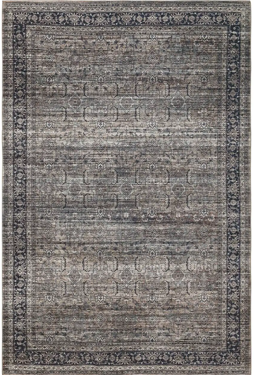 Brown and Blue Oriental Printed Distressed Area Rug Photo 4