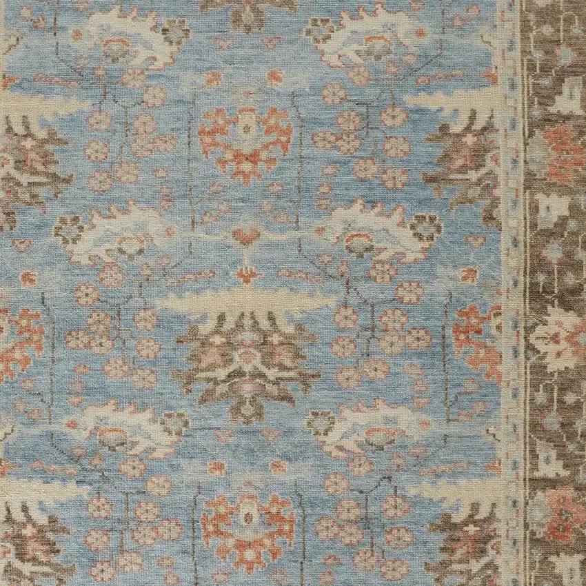 Brown and Blue Wool Oriental Hand Knotted Area Rug Photo 8