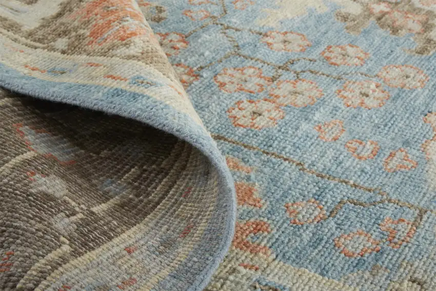 Brown and Blue Wool Oriental Hand Knotted Area Rug Photo 8