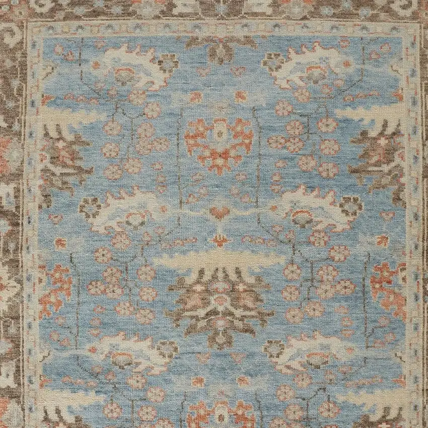 Brown and Blue Wool Oriental Hand Knotted Area Rug Photo 8