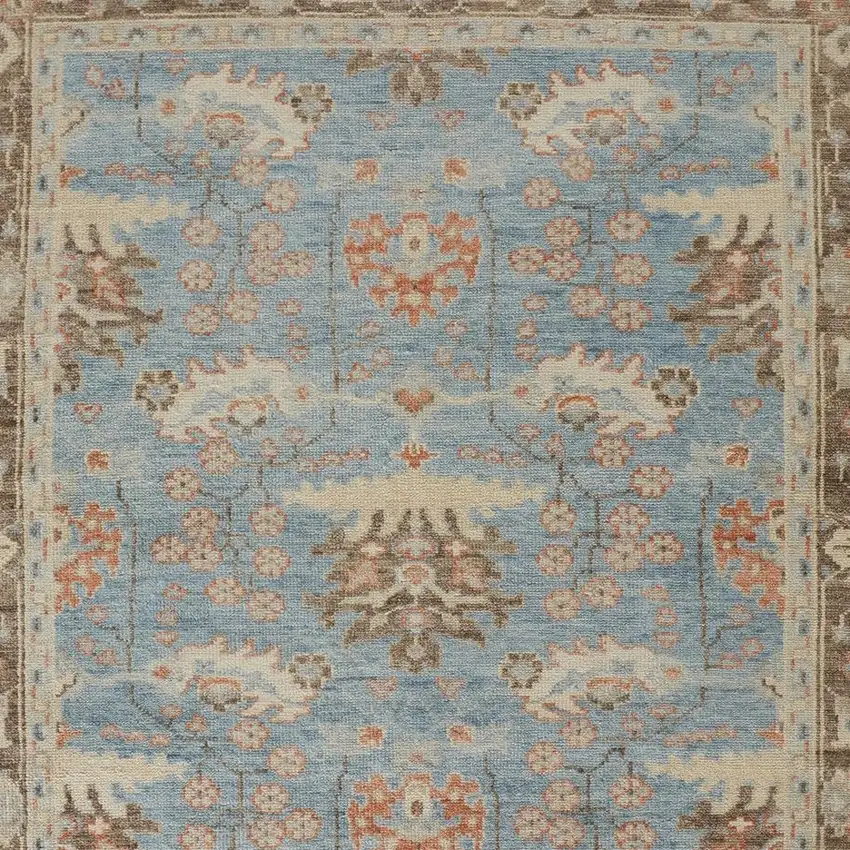 Brown and Blue Wool Oriental Hand Knotted Area Rug Photo 8