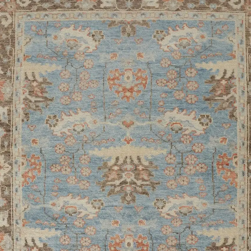 Brown and Blue Wool Oriental Hand Knotted Area Rug Photo 6