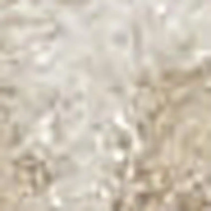 Brown and Ivory Plaid Non Skid Area Rug Photo 1