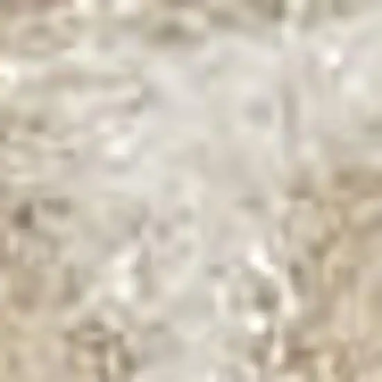 Brown and Ivory Plaid Non Skid Area Rug Photo 1