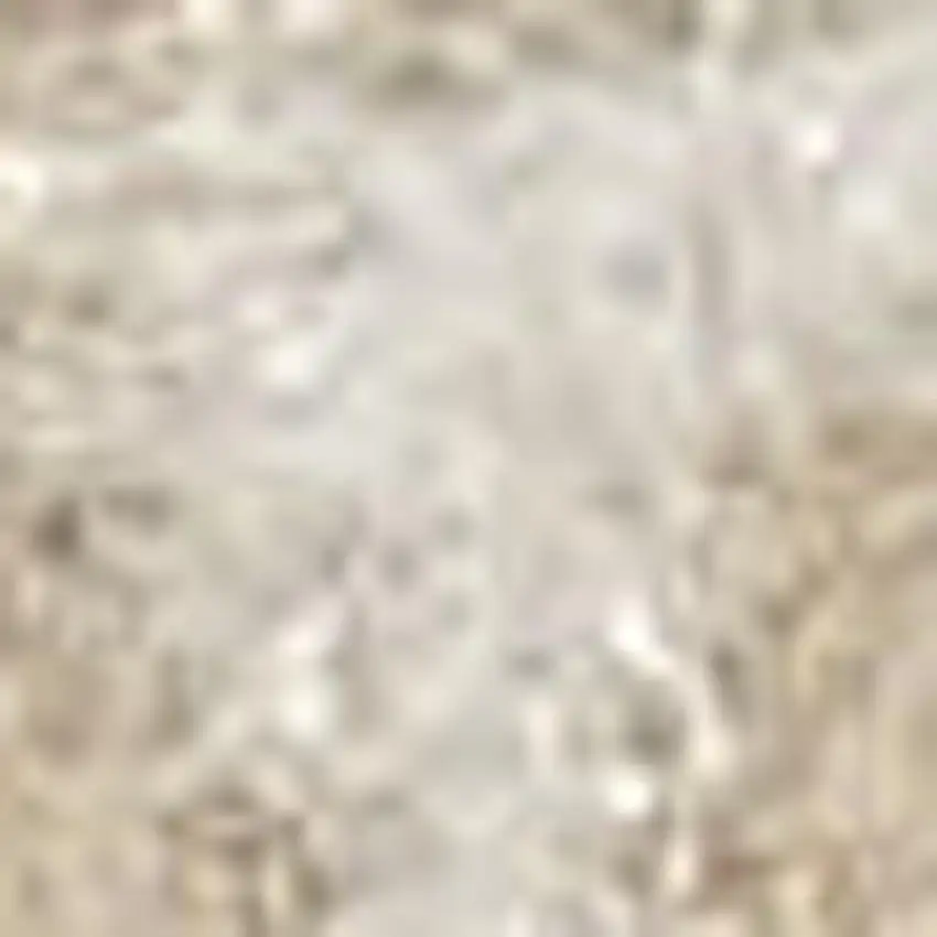 Brown and Ivory Plaid Non Skid Area Rug Photo 1