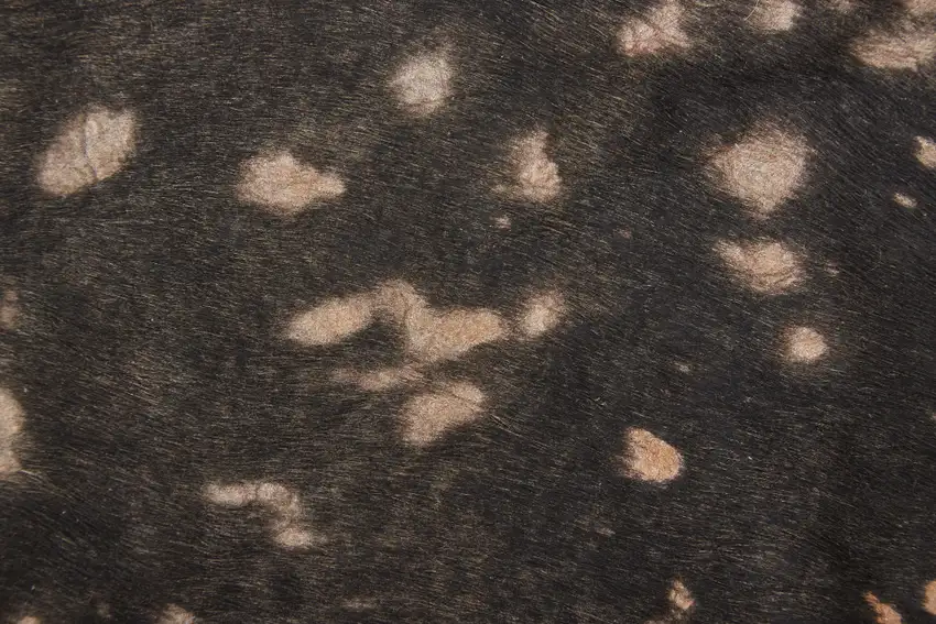 Brown and Tan Cowhide Animal Print Power Loom Area Rug Photo 8
