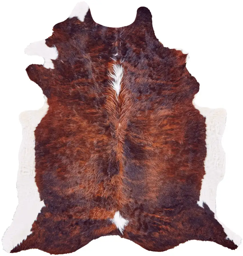 Brown and White Cowhide Animal Print Power Loom Area Rug Photo 5