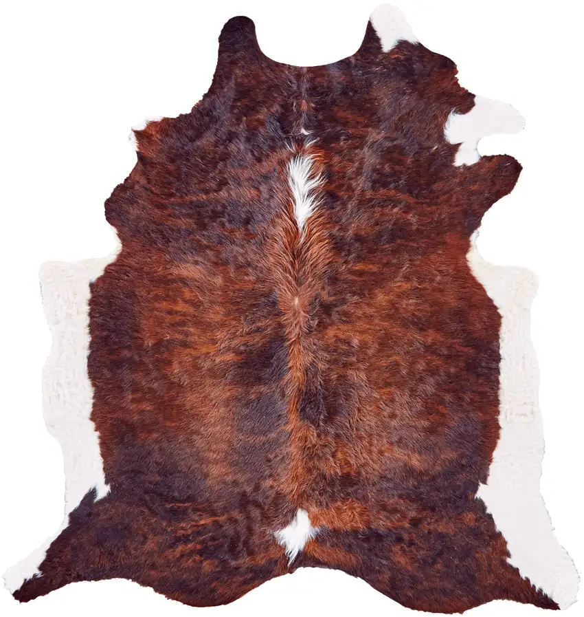 Brown and White Cowhide Animal Print Power Loom Area Rug Photo 2
