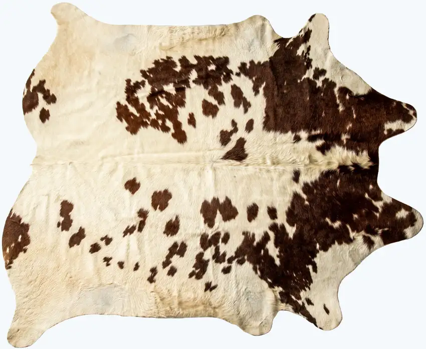 Brown and White Cowhide Hand Knotted Area Rug Photo 3
