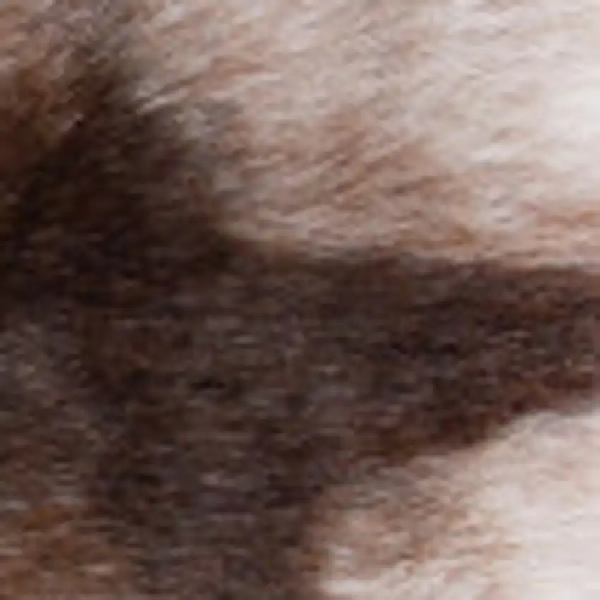Brown and White Faux Fur Animal Print Area Rug Photo 5