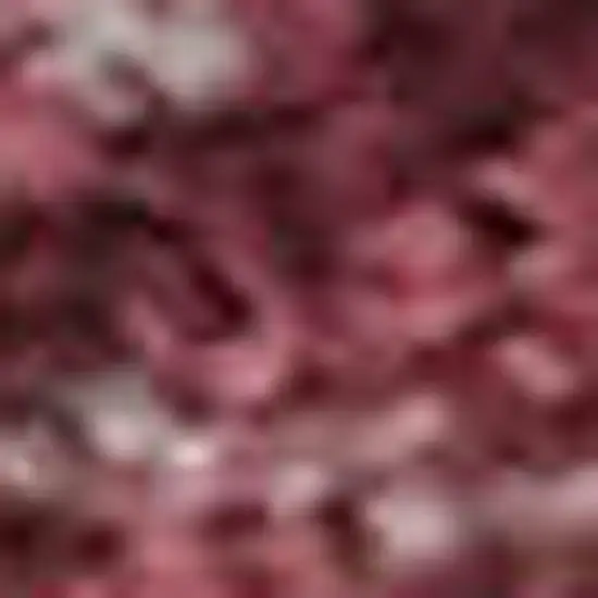 Burgundy And Blush Abstract Washable Area Rug With UV Protection Photo 2