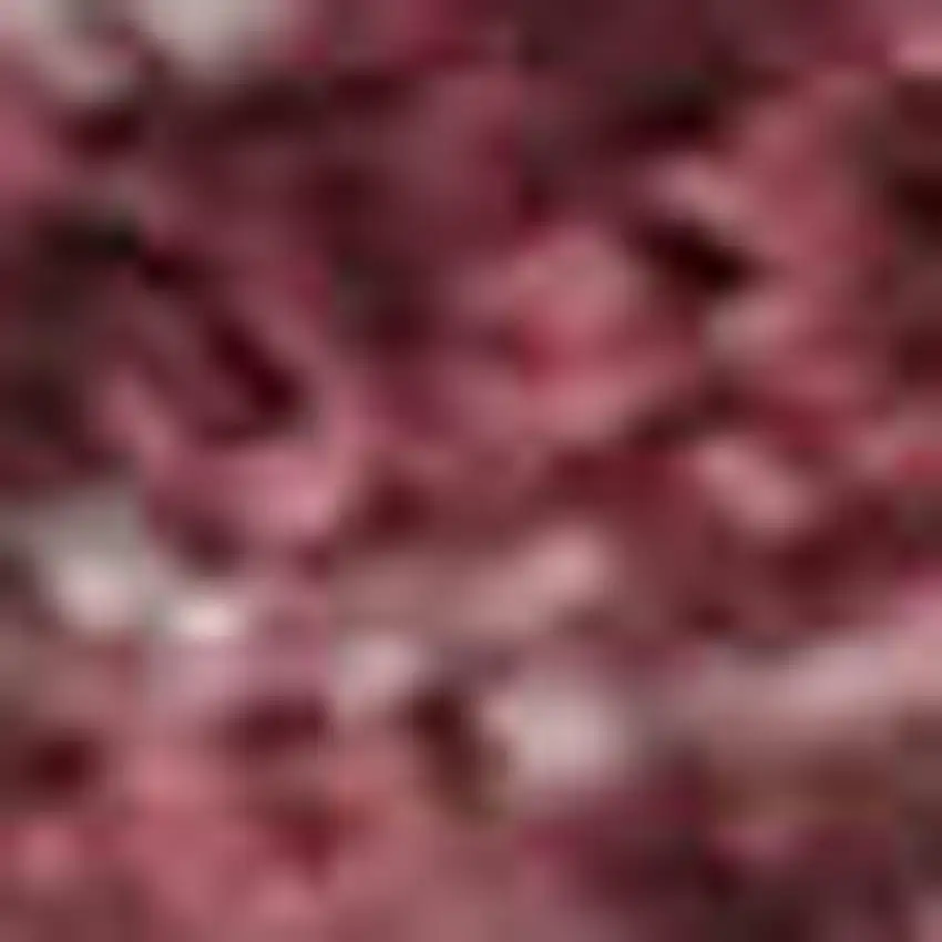 Burgundy And Blush Abstract Washable Area Rug With UV Protection Photo 2