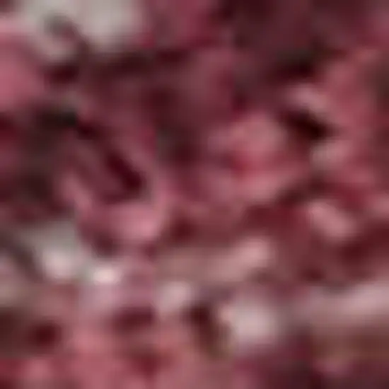 Burgundy And Blush Abstract Washable Area Rug With UV Protection Photo 2