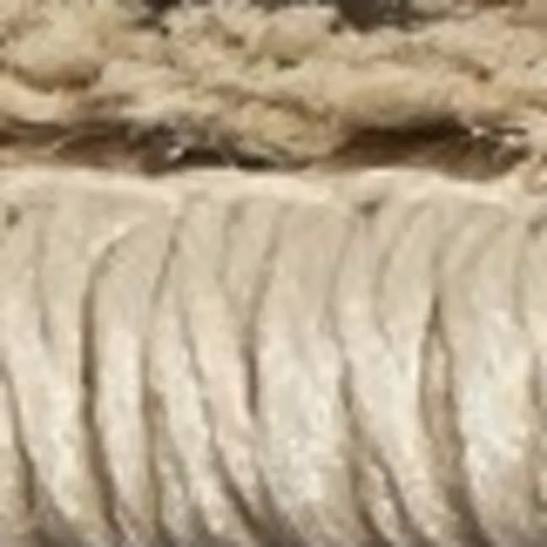 Champagne Beige Machine Woven Damask Indoor Area Rug Photo 2