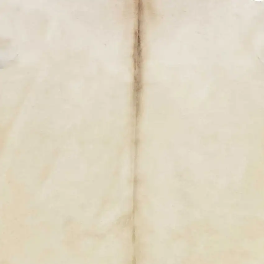 Champagne Brindled Cowhide Rug Photo 3