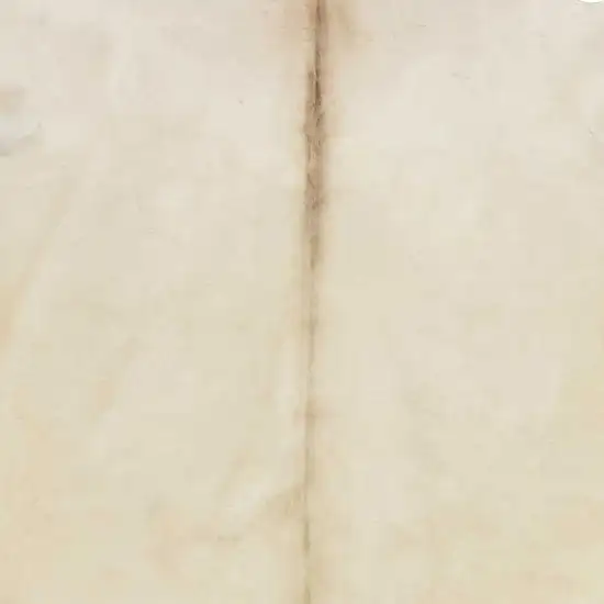 Champagne Brindled Cowhide Rug Photo 3