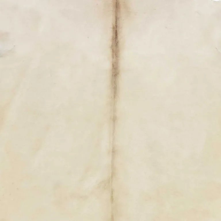 Champagne Brindled Cowhide Rug Photo 3