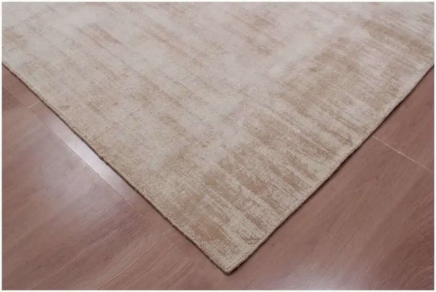 Champagne Hand Loomed Area Rug Photo 4