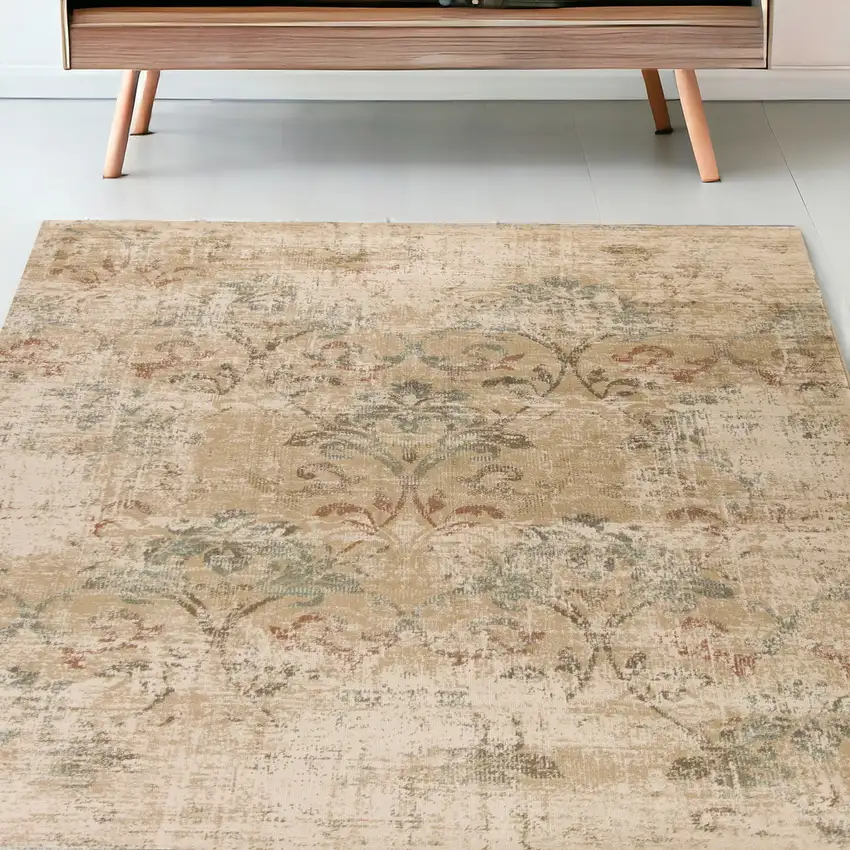 Champagne Vintage Area Rug Photo 1