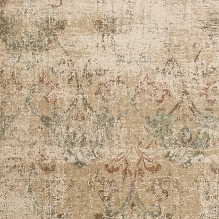 Champagne Vintage Area Rug Photo 4