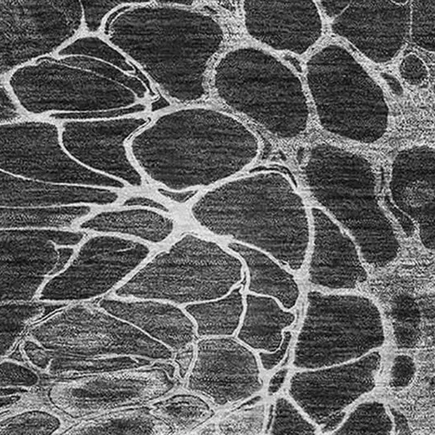 Charcoal And Silver Abstract Washable Area Rug With UV Protection Photo 6