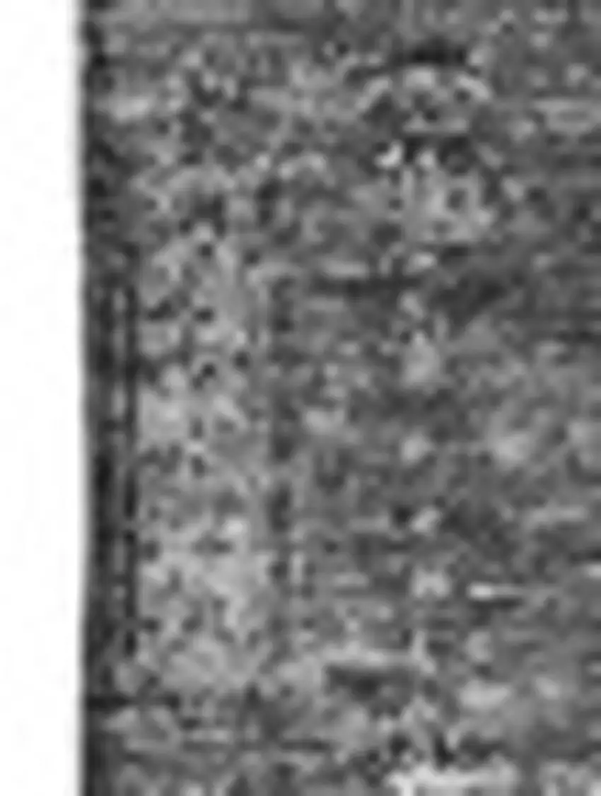 Charcoal And Silver Floral Washable Area Rug With UV Protection Photo 3