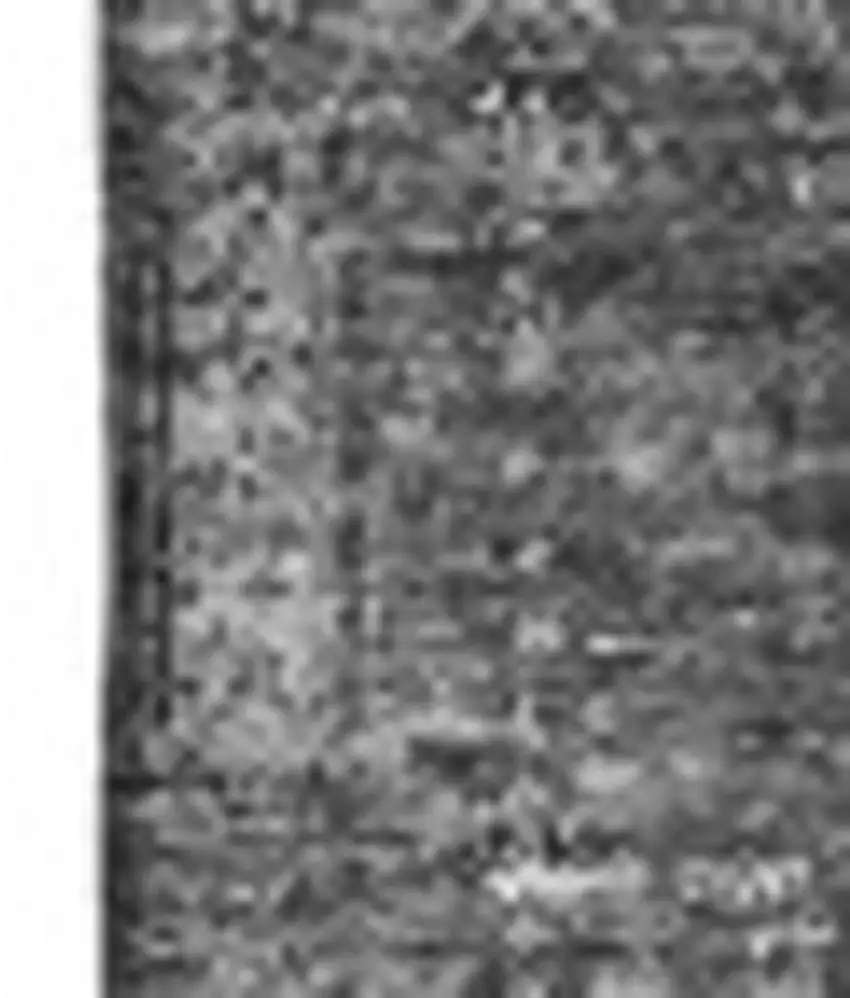 Charcoal And Silver Floral Washable Area Rug With UV Protection Photo 3